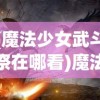 (魔法少女武斗祭在哪看)魔法少女武斗祭，探寻神秘活动的所在地