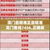 澳门最精准正最精准龙门客栈7456,正确解答落实_进修款.3.270