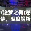 (逆梦之梅)逆梦，深度解析与探索