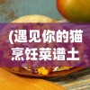 (遇见你的猫烹饪菜谱土豆泥)遇见你的猫之美味烹饪菜谱