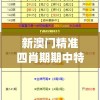 新澳门精准四肖期期中特公开,理论依据解释落实_备用款.5.934