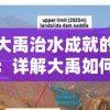 探析大禹治水成就的核心领域：详解大禹如何治理黄河流域的水患问题