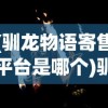 (驯龙物语寄售平台是哪个)驯龙物语交易平台的崛起与挑战，探索数字时代的宠物驯养与交易新模式