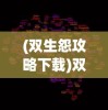 (双生怨攻略下载)双生怨攻略，游戏全解析及常见问题解答