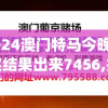 2024澳门特马今晚开奖结果出来7456,探索创意世界的无限可能_领航款.2.710