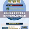 新澳好彩免费资料查询水果奶奶管家婆,科学解答解释落实_健身版.2.310