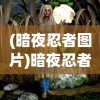 (暗夜忍者图片)暗夜忍者，神秘面纱下的隐秘世界