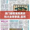 澳门最精准免费资料大全管家婆,自然之美与心灵之旅_set.8.307