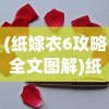 (纸嫁衣6攻略全文图解)纸嫁衣6，深度解析与常见问题解答