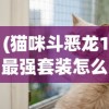 (猫咪斗恶龙1最强套装怎么获得)猫咪斗恶龙1，揭秘最强套装
