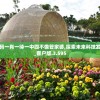 澳门一码一肖一待一中四不像管家婆,探索未来科技发展趋势_客户版.3.595