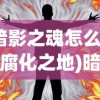 (暗影之魂怎么获得腐化之地)暗影之魂获取攻略，全面解析与常见问题解答