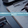 (斯帕是什么保健视频)What is the English translation for "斯帕按摩"?