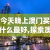 今天晚上澳门买什么最好,探索澳门魅力与文化风情_Max.4.699