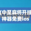 (中至麻将开挂神器免费ios)关于中至麻将开挂神器免费，真相、风险与探讨