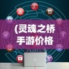 (灵魂之桥手游价格多少)灵魂之桥手游价格解析及常见问题解答