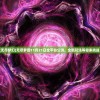 (伊甸园的骄傲伊万斯生日)伊甸园的骄傲，探索伊万斯的独特魅力