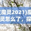 (轮回手游官方正版)手游轮回，无尽循环中的探索与挑战