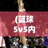 (篮球5v5内置作弊菜单新版)篮球5v5内置作弊菜单，游戏背后的真相与挑战