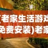 (老家生活游戏免费安装)老家生活游戏，传统与现代的交融
