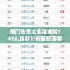 澳门免费大全精准版7456,现状分析解释落实_经典款.7.116