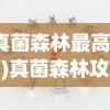 (异世录之最终勇者手游攻略)异世录之最终勇者手游，探索未知世界的勇者之旅