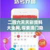 二四六天天彩资料大全网,探索澳门隐藏美食与文化_终端款.4.848