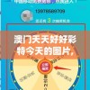 澳门天天好好彩特今天的图片,新趋势下的投资攻略与机遇_标准版BT.4.925