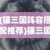 (猫三国阵容搭配推荐)猫三国阵容搭配策略及常见问答