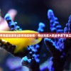 (射箭塔防有冰火雷电是魔兽争霸吗)冰火雷电交织下的射箭塔防挑战