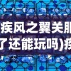 (疾风之翼关服了还能玩吗)疾风之翼游戏关服原因深度解析