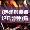 代号审判雷霆游戏，深度解析与探索