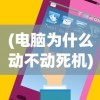 (电脑为什么动不动死机)揭秘电脑频繁死机的原因与解决方案