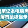 (笔记本电脑黑屏有鼠标显示怎么回事)笔记本电脑黑屏只有鼠标，原因解析与解决方案