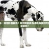 (铁血阵地真人cs)下载铁血阵地攻速版，一键畅玩最刺激的战斗！