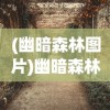 (幽暗森林图片)幽暗森林，神秘与魅力的交织