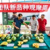 甜瓜游乐场20.24.1国际版红包版官方下载-甜瓜游乐场20.24.1国际版无敌版v.5.59