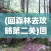 (豪华版曹操传攻略2015版)豪华曹操传攻略2015，全方位解析与常见问题解答