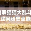 (躲猫猫大乱斗联网版安卓能玩吗)躲猫猫大乱斗联网版，多人欢乐乱斗的新纪元