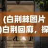 (白荆棘图片)白荆回廊，探索神秘的回廊，揭示背后的故事
