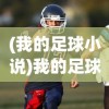 (率土之滨网易官方网下载)率土之滨网易官方网，游戏特色与玩家体验探讨