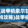 (繁荣美食市场物语3完整攻略)繁荣美食市场物语，揭秘三大套餐攻略的秘诀