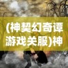 (皇家守卫军攻略第九关视频)皇家守卫军攻略第九关，深度解析与策略分享