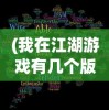 (我在江湖游戏有几个版本的)我在江湖游戏，版本演变与特色解析