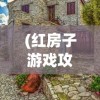 (红房子游戏攻略)红房子游戏攻略手册，深度解析与手交指南