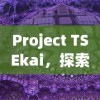 (小屋王国)王小屋20期后任务空缺现象探究