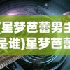 (星梦芭蕾男主是谁)星梦芭蕾游戏，探索虚拟舞台的奇幻之旅