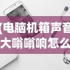 (电脑机箱声音大嗡嗡响怎么解决视频)电脑机箱声音大嗡嗡响怎么解决——全面解析与常见问答