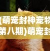(萌宠封神宠物第八期)萌宠封神更新后的新名字揭秘，探索背后的故事与期待