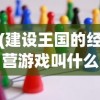 (建设王国的经营游戏叫什么)建设王国的经营游戏，策略与挑战